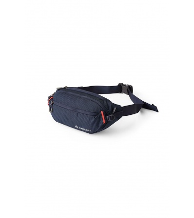 Gregory Nano Waistpack Summer 2025