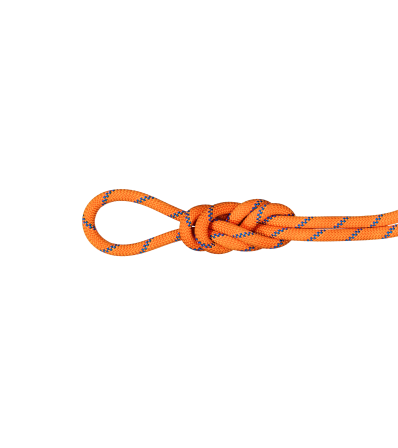 Climbing Rope Mammut 9.0 Alpine Sender Dry Rope Standard 60M Winter 2025