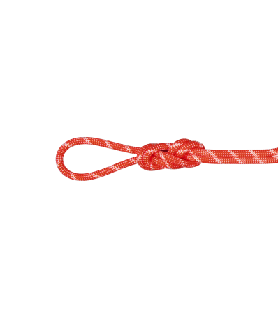 Climbing Rope Mammut 8.0 Alpine Classic 30m Winter 2025