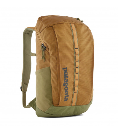 Patagonia Black Hole Pack 25L Summer 2024