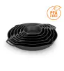 Petromax Fire Skillet FP25H With Two Handles