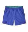 Patagonia Baggies 5
