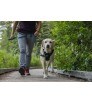 Ruffwear Front Range Harness