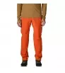 Patagonia Free Wall Pants M's