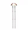 Black Diamond Trail Cork Trekking Poles