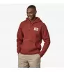 Суитчър Patagonia '73 Skyline Uprisal Hoody